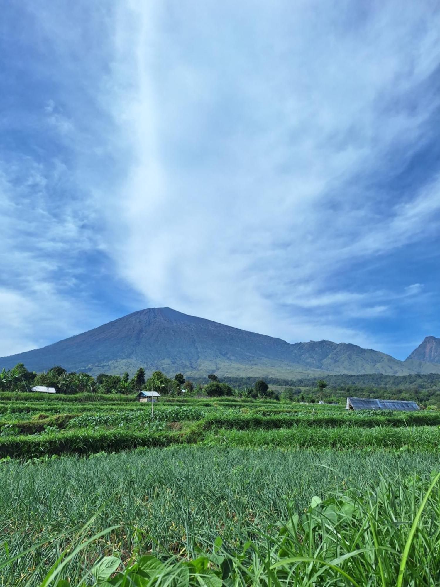 Family Rinjani Bungalow Sajang Exteriör bild